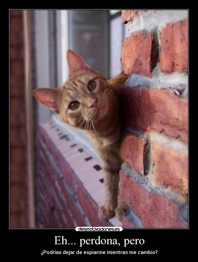 Eh... perdona, pero - 