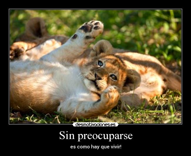 Sin preocuparse -