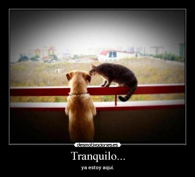 Tranquilo... - 