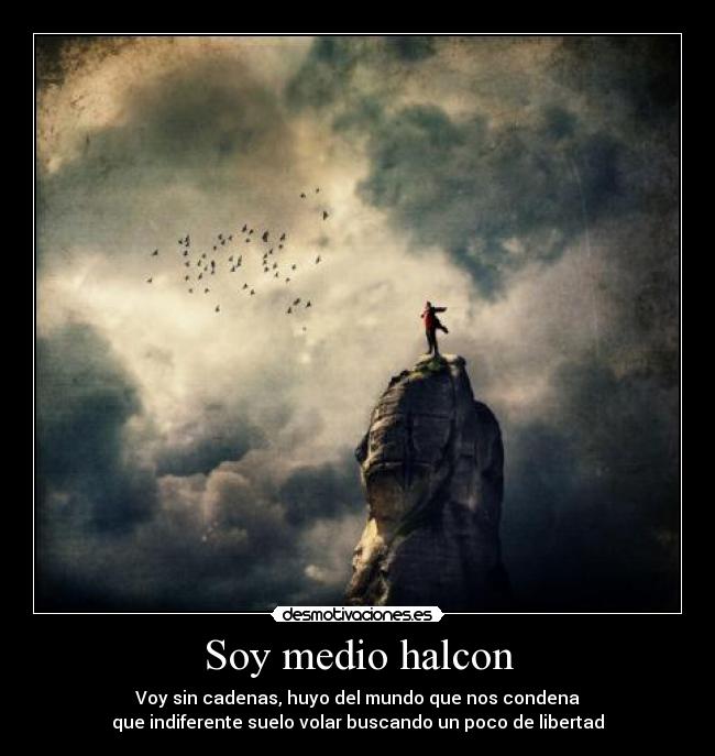 Soy medio halcon -