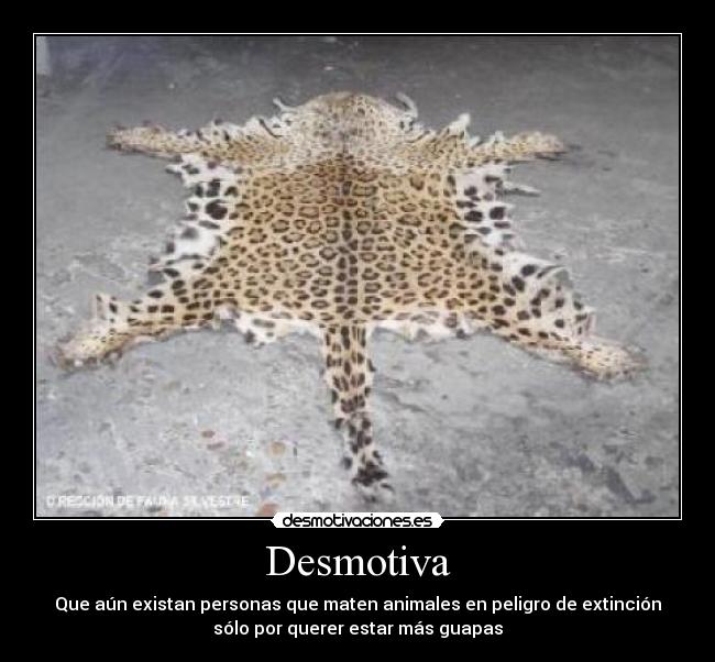 Desmotiva -