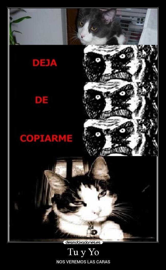 Tu y Yo - NOS VEREMOS LAS CARAS