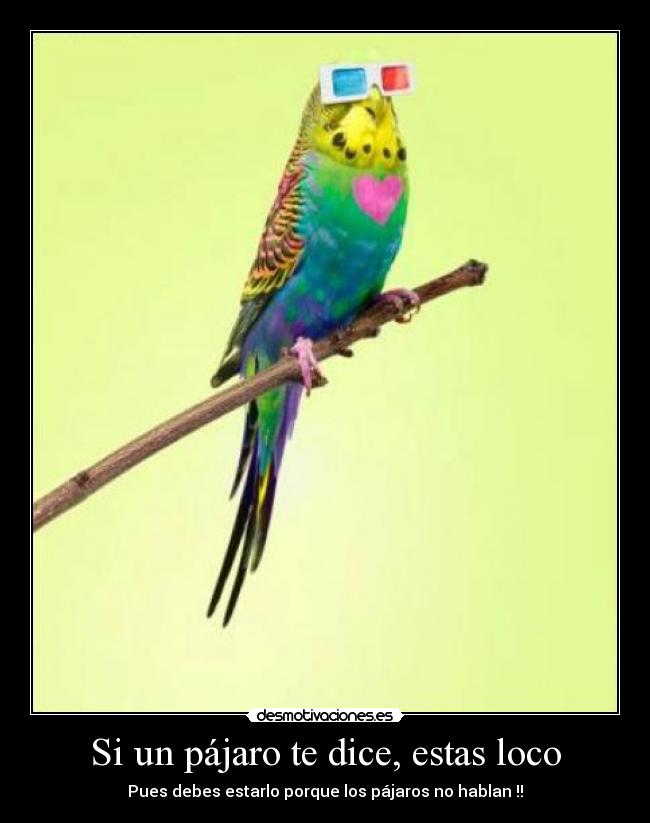 carteles chiste desmotivaciones