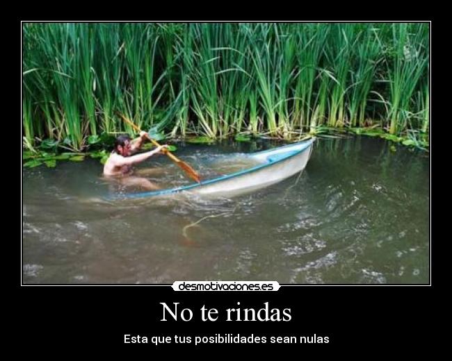 No te rindas - 