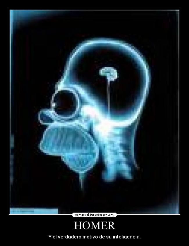 HOMER - 