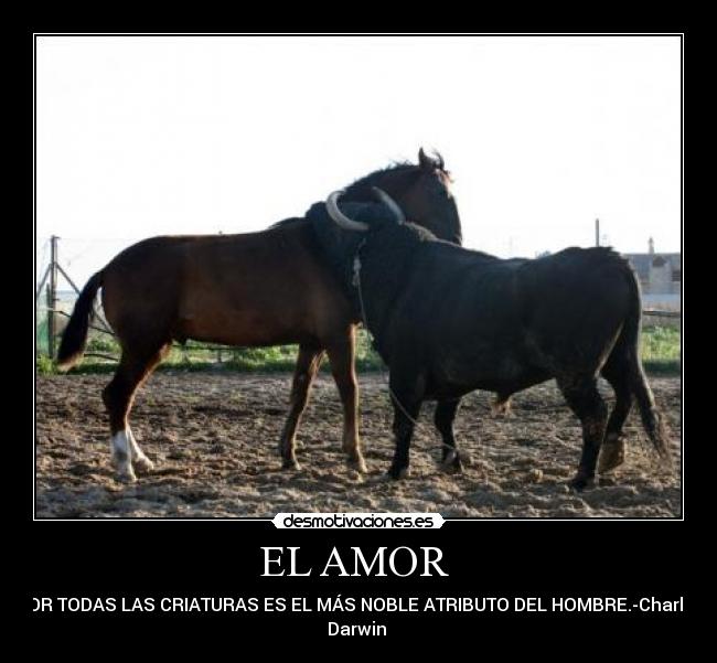 EL AMOR  - POR TODAS LAS CRIATURAS ES EL MÁS NOBLE ATRIBUTO DEL HOMBRE.-Charles
Darwin 