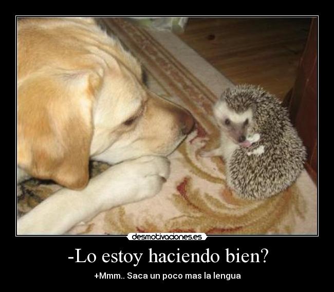 -Lo estoy haciendo bien? - +Mmm.. Saca un poco mas la lengua