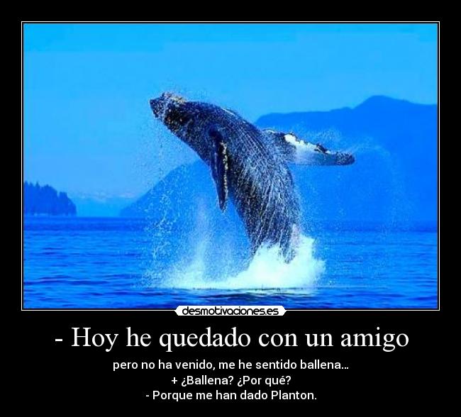 - Hoy he quedado con un amigo - pero no ha venido, me he sentido ballena…
+ ¿Ballena? ¿Por qué?
- Porque me han dado Planton.
