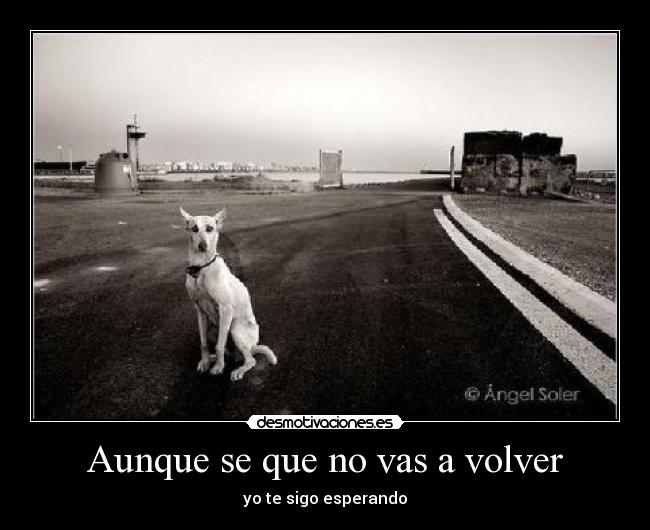Aunque se que no vas a volver - yo te sigo esperando