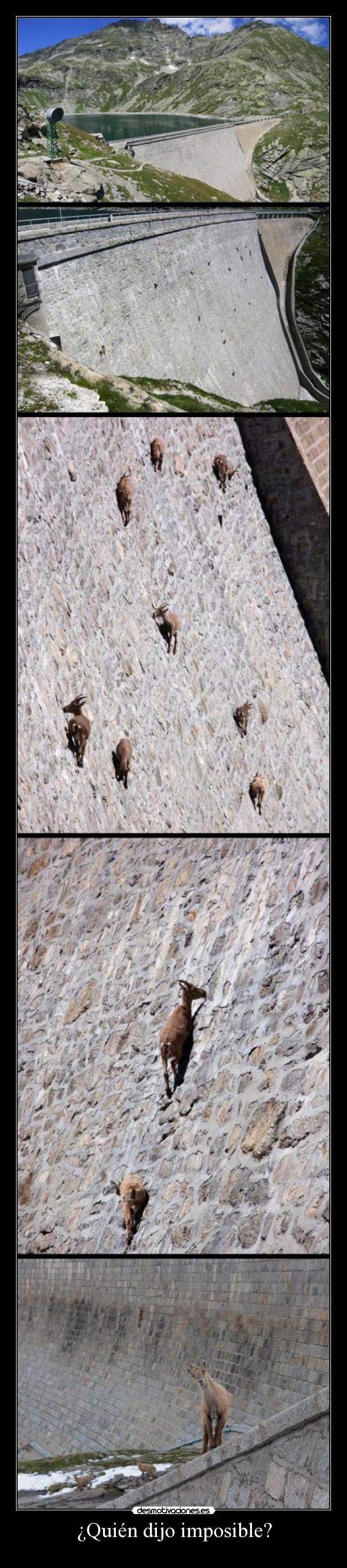 ¿Quién dijo imposible? -