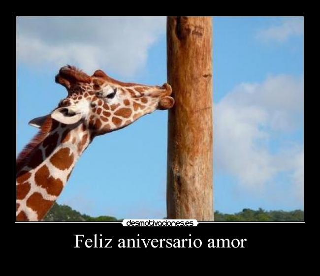 Feliz aniversario amor -