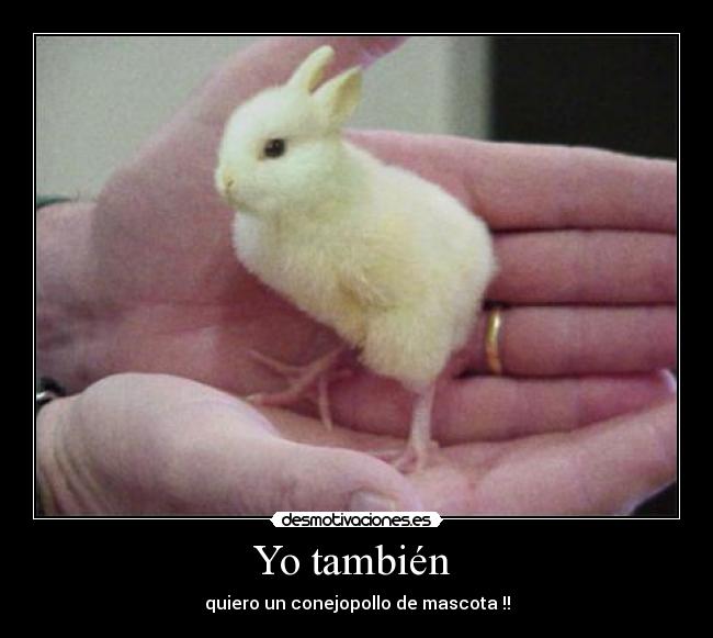 carteles tambien desmotivaciones