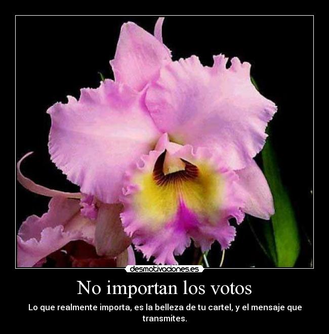 No importan los votos - Lo que realmente importa, es la belleza de tu cartel, y el mensaje que transmites.