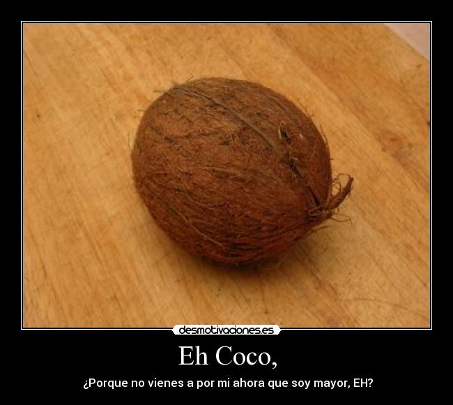 Eh Coco, - 