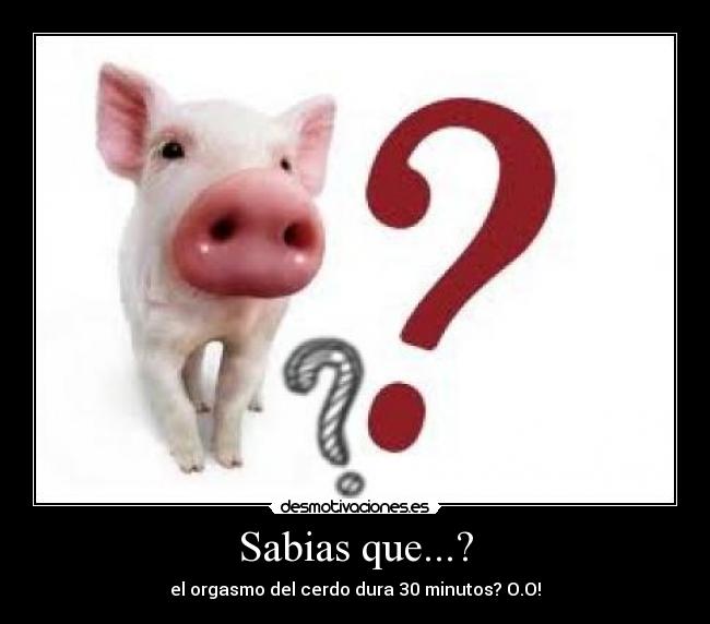 Sabias que...? -