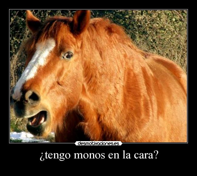 ¿tengo monos en la cara? - 