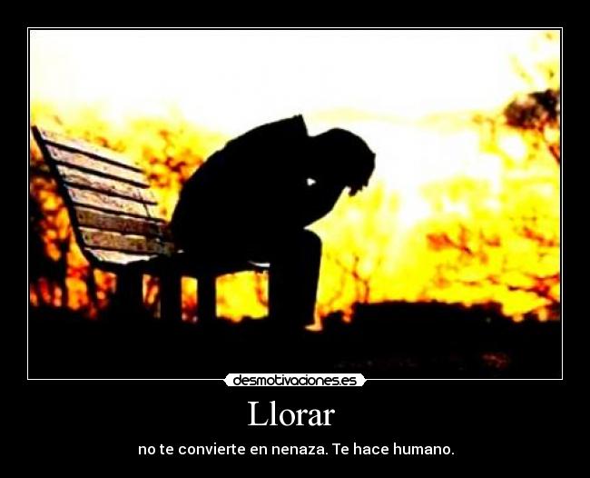 carteles llorar llorar desmotivaciones