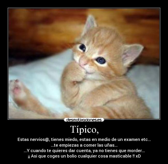 Típico, - Estas nervios@, tienes miedo, estas en medio de un examen etc...
...te empiezas a comer las uñas...
...Y cuando te quieres dar cuenta, ya no tienes que morder...
¡¡ Asi que coges un bolio cualquier cosa masticable !! xD