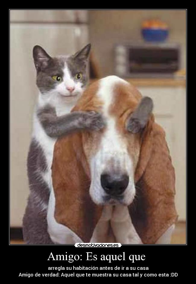 Amigo: Es aquel que - arregla su habitación antes de ir a su casa
Amigo de verdad: Aquel que te muestra su casa tal y como esta :DD