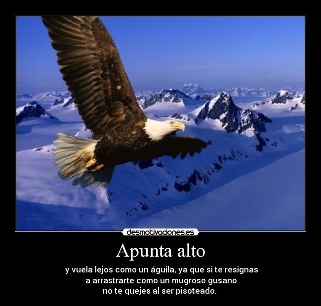 Apunta alto - y vuela lejos como un águila, ya que si te resignas
a arrastrarte como un mugroso gusano
no te quejes al ser pisoteado.