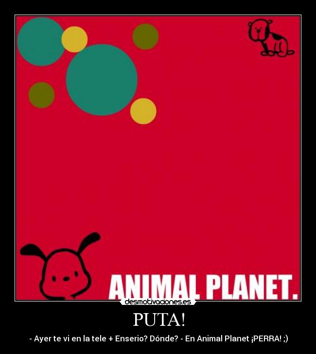 PUTA! -