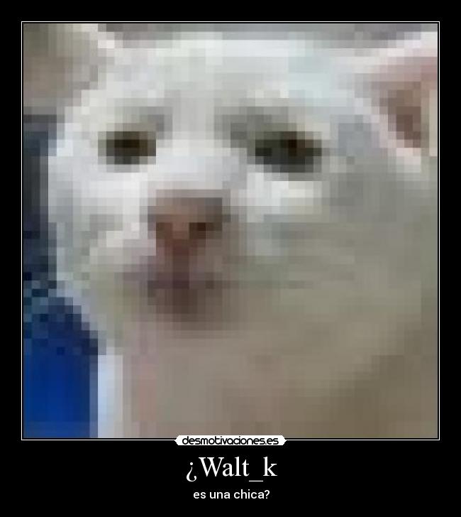 ¿Walt_k - 