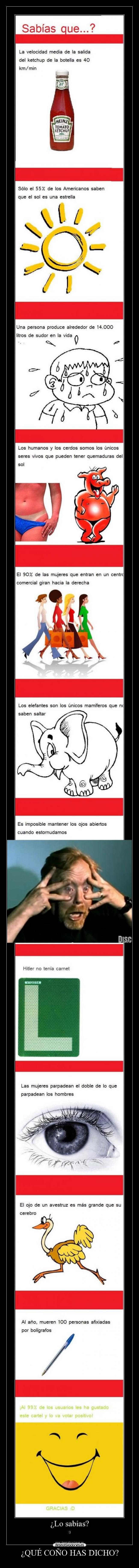 ¿QUÉ COÑO HAS DICHO? -