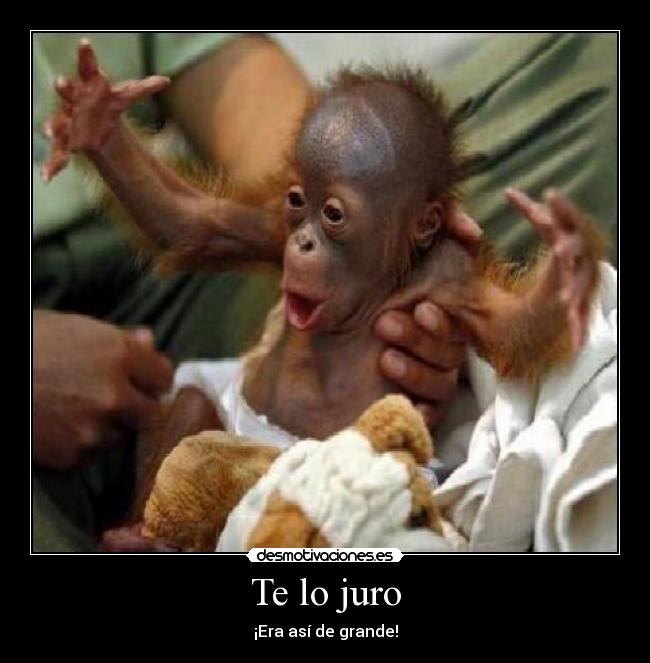 Te lo juro - ¡Era así de grande!