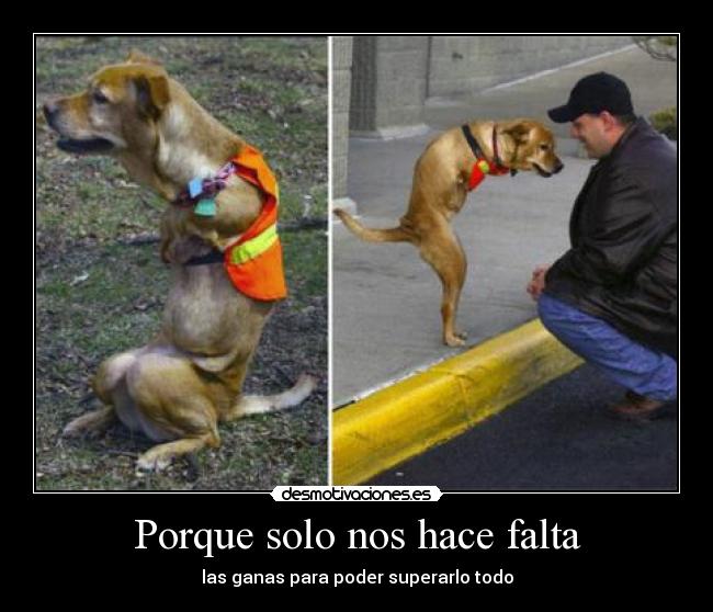 Porque solo nos hace falta -