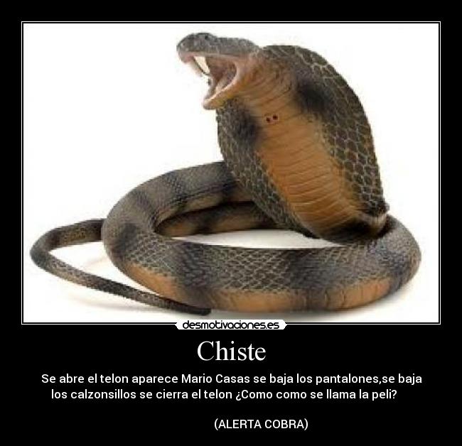 Chiste - Se abre el telon aparece Mario Casas se baja los pantalones,se baja
los calzonsillos se cierra el telon ¿Como como se llama la peli?     
                                                                      
                     (ALERTA COBRA)