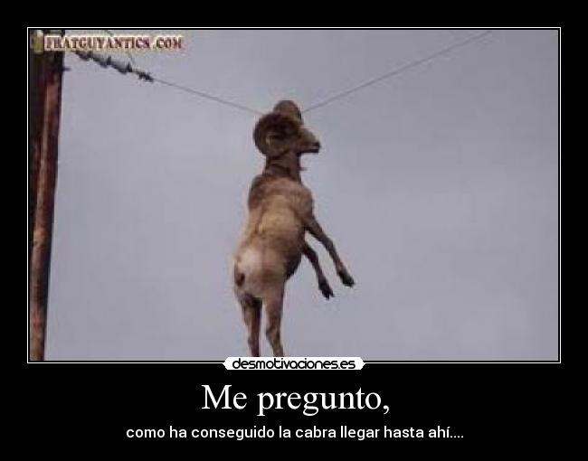 carteles nlkjm desmotivaciones