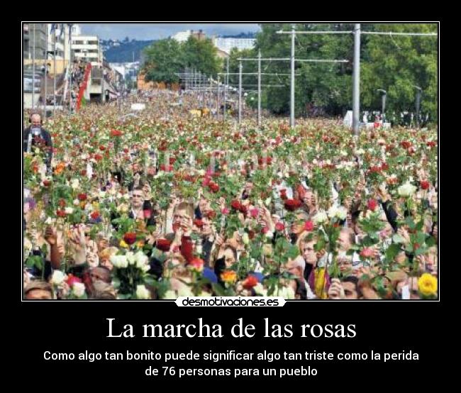 La marcha de las rosas - Como algo tan bonito puede significar algo tan triste como la perida
de 76 personas para un pueblo