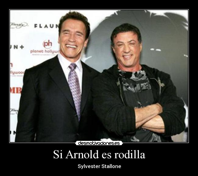 Si Arnold es rodilla - Sylvester Stallone