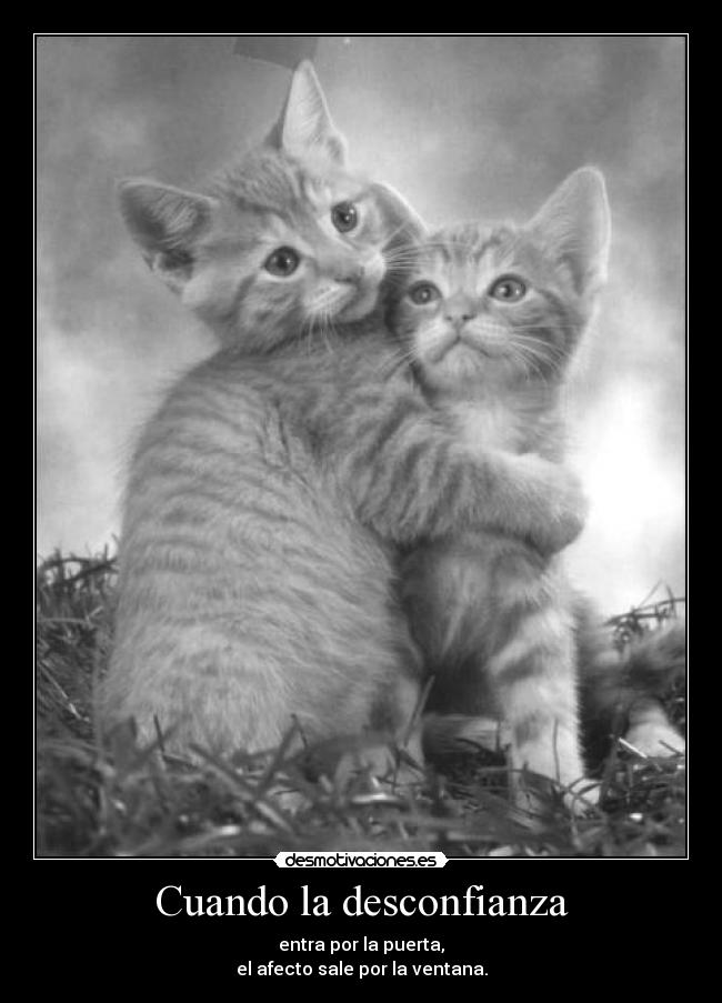 Cuando la desconfianza - entra por la puerta,
el afecto sale por la ventana.
