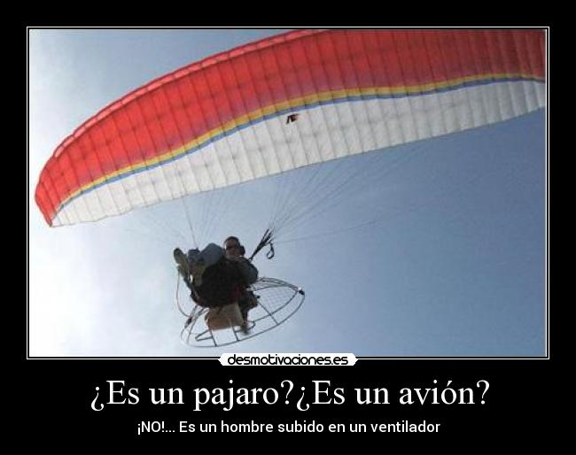 ¿Es un pajaro?¿Es un avión? - 
