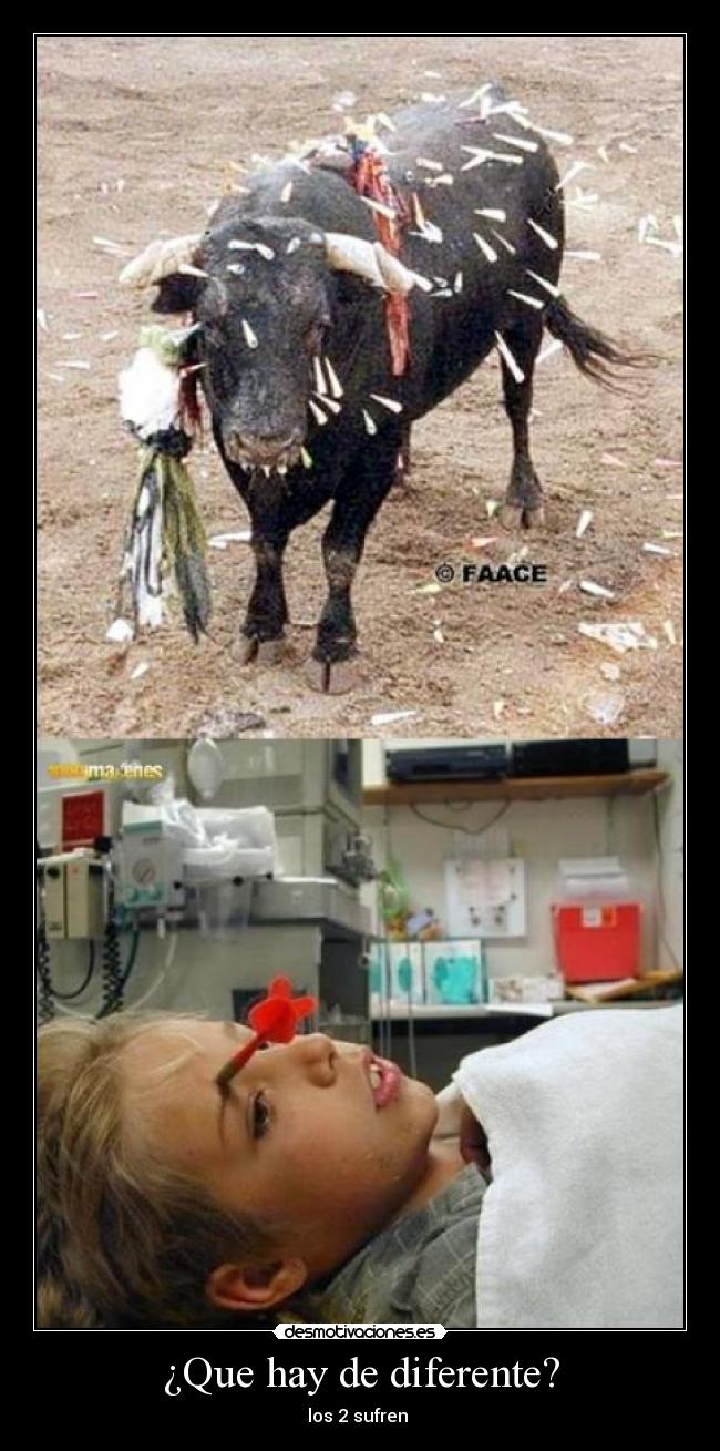 carteles toro vega desmotivaciones