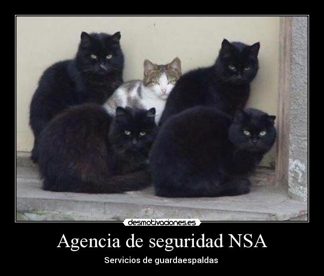 Agencia de seguridad NSA - 