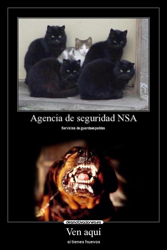 Ven aquí - si tienes huevos