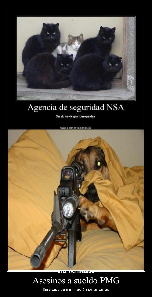 Asesinos a sueldo PMG - 