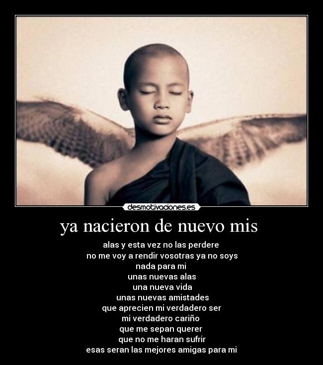 carteles nacieron desmotivaciones