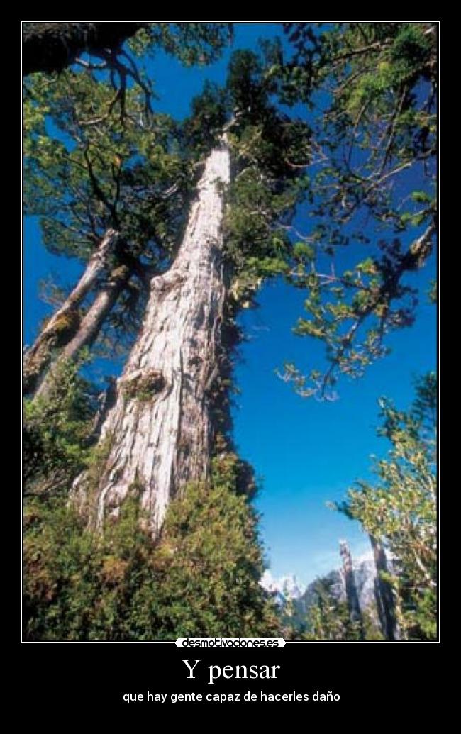 Y pensar -