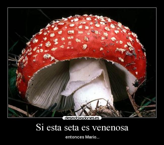 carteles wwwdesmotivacioneses desmotivaciones