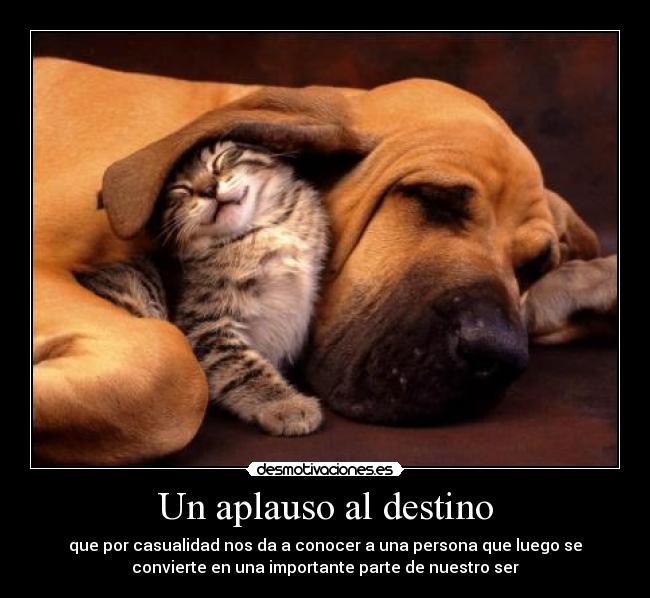 Un aplauso al destino -