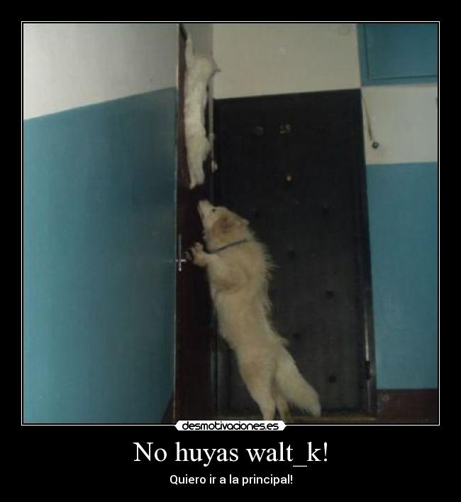 No huyas walt_k! - Quiero ir a la principal!