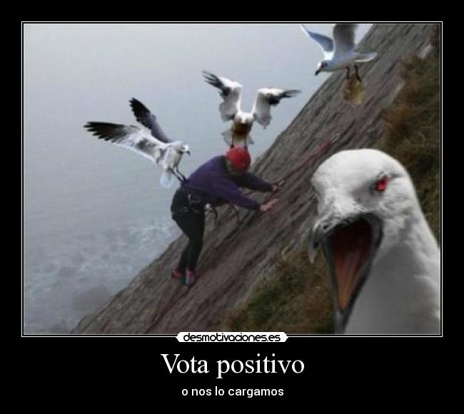 Vota positivo -