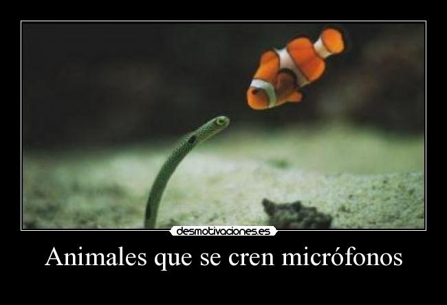 Animales que se cren micrófonos -