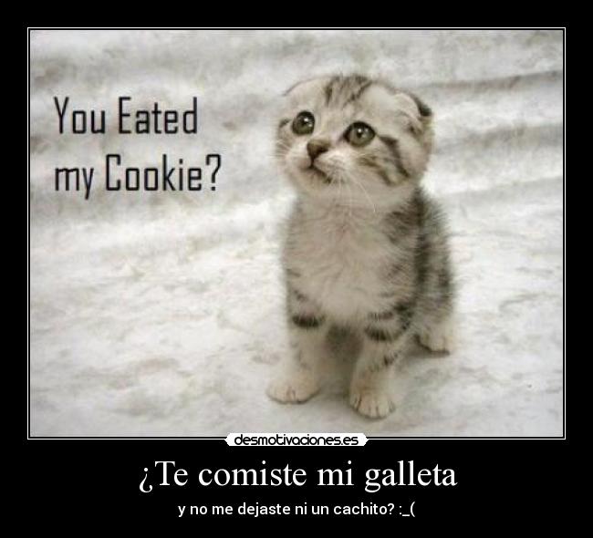 carteles gato desmotivaciones