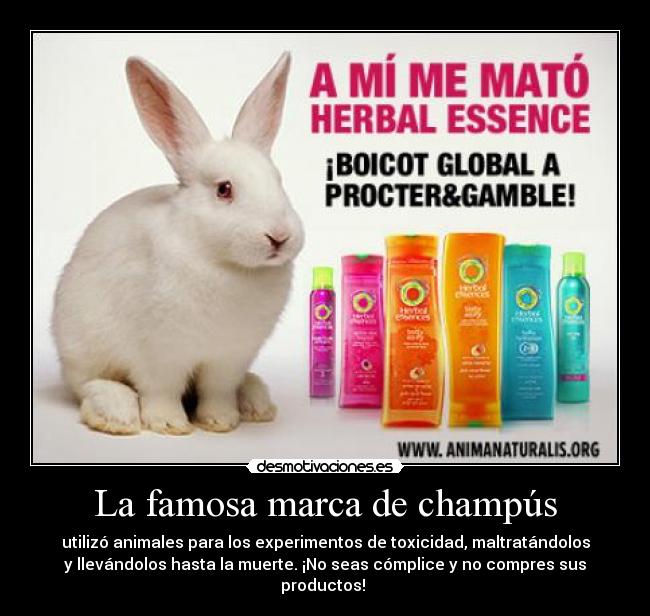 La famosa marca de champús - utilizó animales para los experimentos de toxicidad, maltratándolos
y llevándolos hasta la muerte. ¡No seas cómplice y no compres sus
productos! 