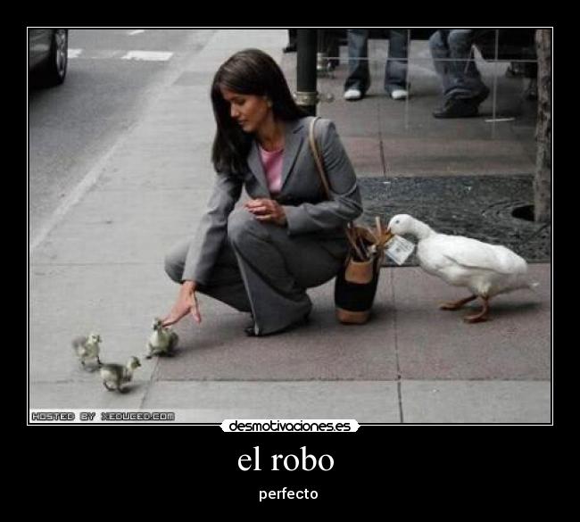el robo  - 