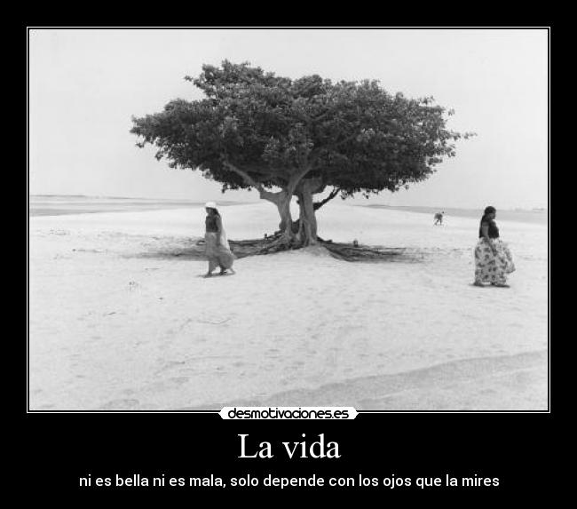 La vida - 